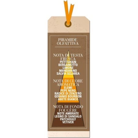 Helan Olmo Fresh Citrusy Men's Perfume with Effervescent Notes of Lemon