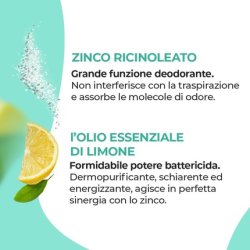 Reset Puramax Vegetable Soap 100g Natural Soap for Armpits and Feet