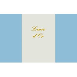 LEBON & VERNAY 5300 livre d'administration 148 feuilles