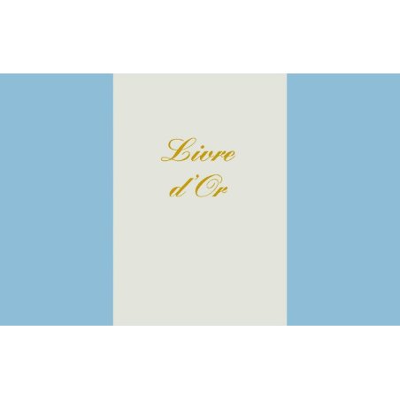 LEBON & VERNAY 5300 livre d'administration 148 feuilles