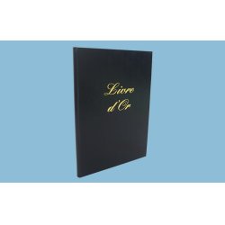 LEBON & VERNAY 540010 livre d'administration Noir 148 feuilles