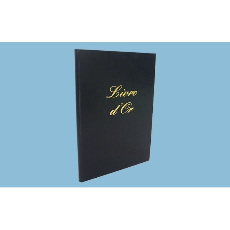 LEBON & VERNAY 540010 administration book Black 148 sheets