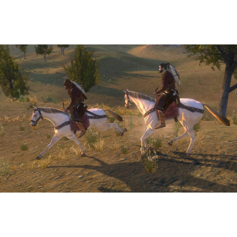 Deep Silver Mount & Blade: Warband Standard Allemand, Anglais, Français PlayStation 4