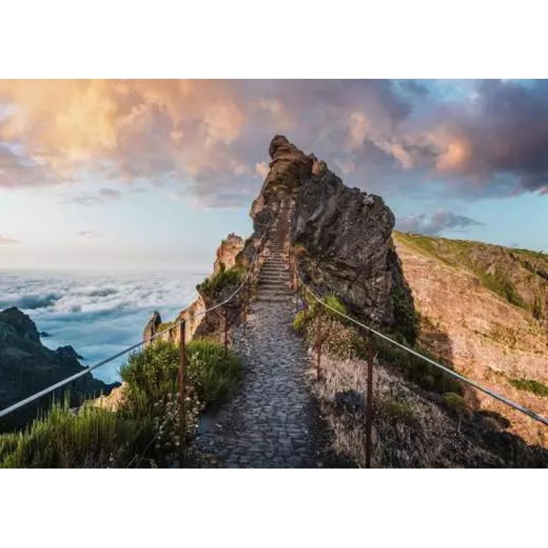 Ravensburger Pathway to Heaven, Mederia