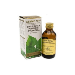 Drgiorgini Servis Srl White Birch Gemmotherapy Sap 10 100 Milliliters