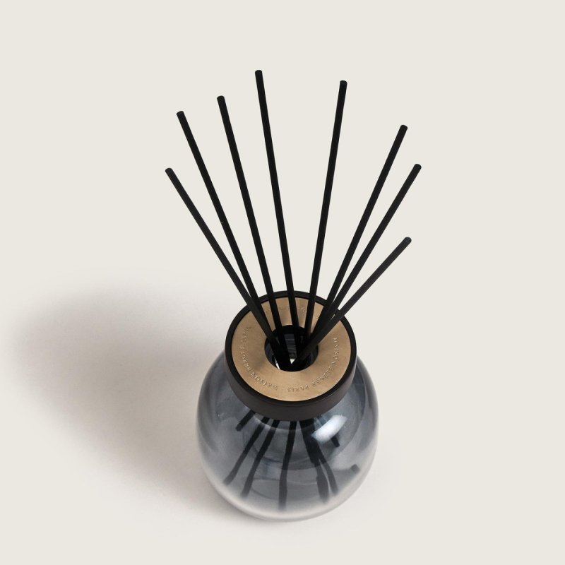 Maison Berger Paris 007877 diffuseur aromatique Flacon de parfum Verre Noir