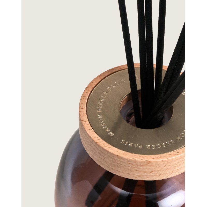 Maison Berger Paris 007878 aroma diffuser Fragrance bottle Glass Red, Wood, Light grey