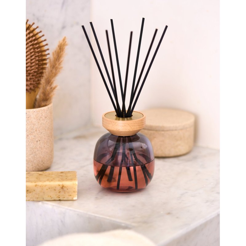 Maison Berger Paris Wood Ptillance Exquise Fragrance Bouquet Set Fragrance Bouquet Set