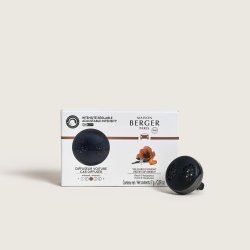 Maison Berger Paris 007870 Vent stick freshener