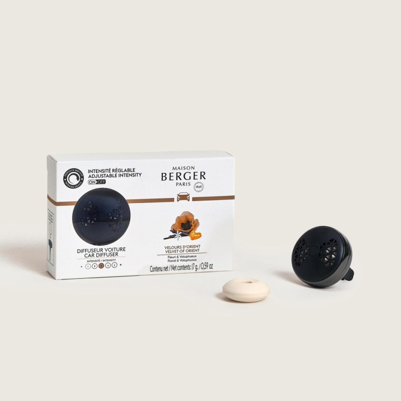 Maison Berger Paris 007870 Vent stick freshener