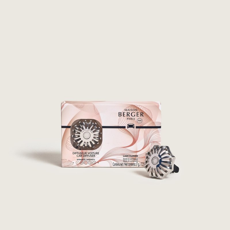 Maison Berger Paris 007874 Vent stick freshener