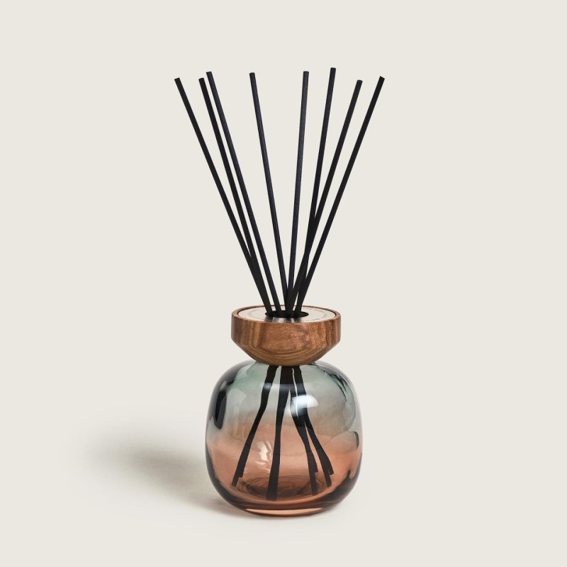 Maison Berger Paris Wood Zeste De Verveine Scented Bouquet Set