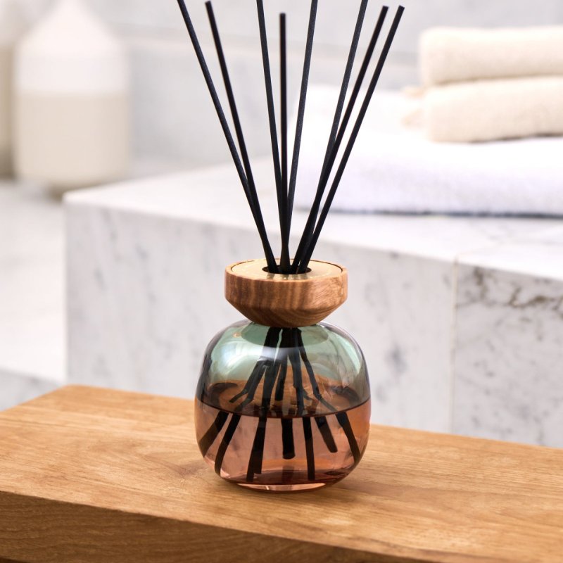 Maison Berger Paris 007879 diffuseur aromatique Flacon de parfum Verre Vert