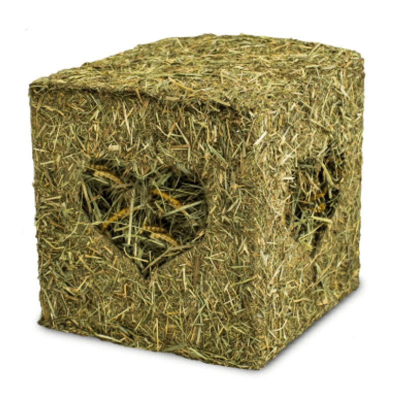 Jr Farm - Hay Cube with Mealworms - 12 x 12 cm