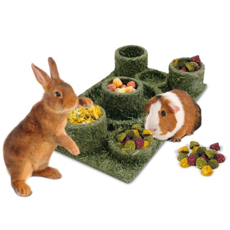 Jr Farm - JR Back to Instinct Amusement Park - 18 × 28 × 5 cm