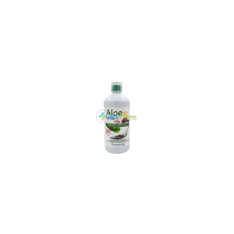 Pharmalife Research Aloe 100 Blueberry And Vine 1000 Milliliters