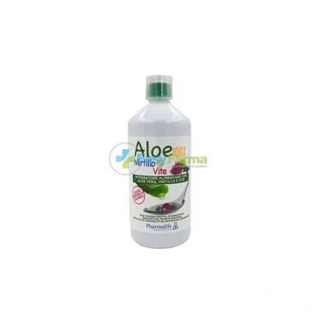 Pharmalife Research Aloe 100 Blueberry And Vine 1000 Milliliters