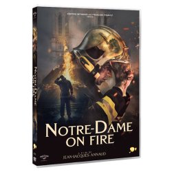 NOTRE-DAME I FLAMMER - Notre-Dame Brûle - Notre Dame on fire