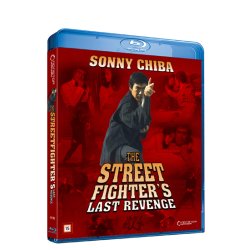 STREET FIGHTER`S LAST REVENGE - Gyakushû! Satsujin ken