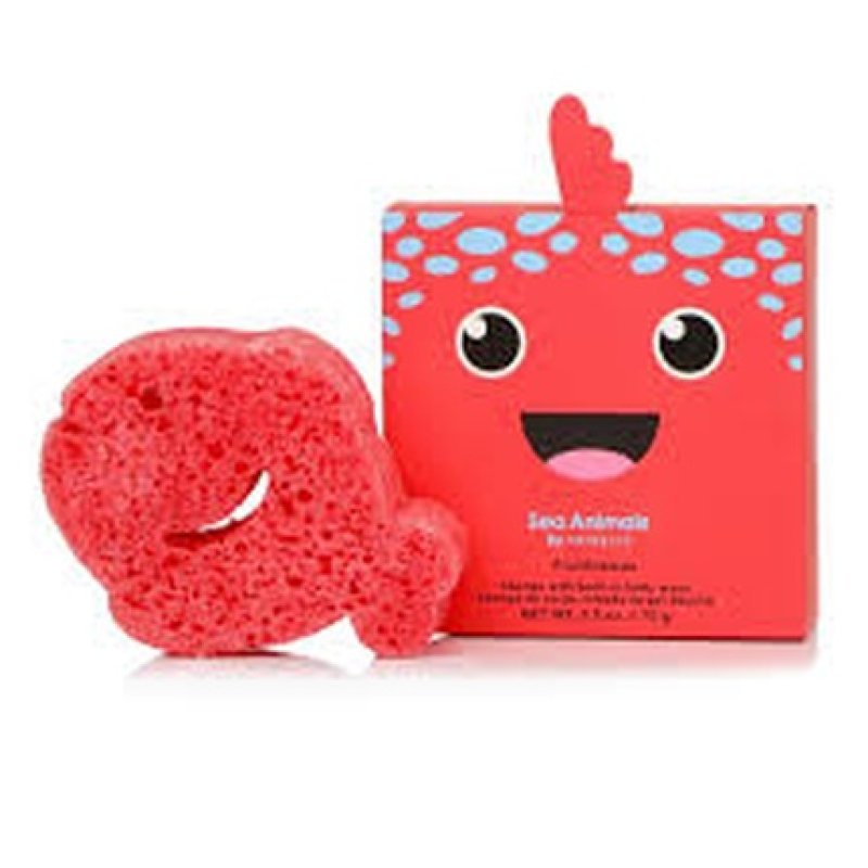 Sponge Sea Animals Fiona Fish Body Cleansing