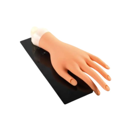 Peggy Sage Practice Hand With Stand And 20 Nail Protectors