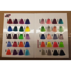 Crazy Color Hair Dye Shade Chart Book 2019 Version A5 Size