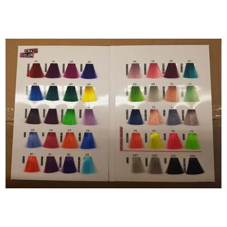 Crazy Color Hair Dye Shade Chart Book 2019 Version A5 Size