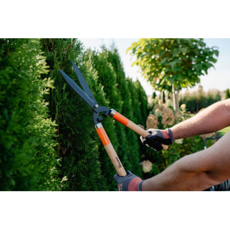 Bradas Cisaille taille-haie V-SERIES WOOD, lame 200 mm