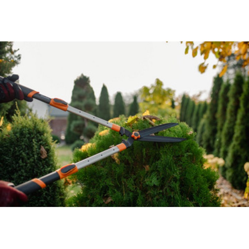 Bradas Cisaille taille-haie en alu V-SERIES, télescopique