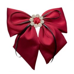 Ecarla Hair Clip With Diamonds Burgundy Xl Sp441bor