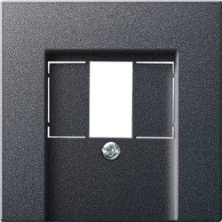 GIRA 027628 wall plate/switch cover Anthracite