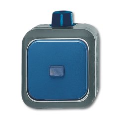 Busch-Jaeger 2601/6 WDI Blue, Grey