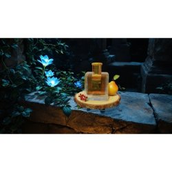 Diane Castel Jardin De Minuit Eau De Parfum 100ml