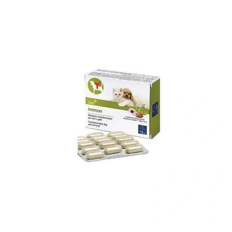 Camon Spa Immun 60 Tablets