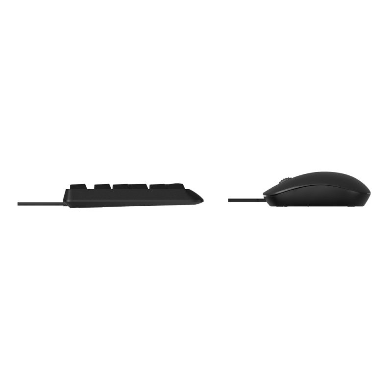 Rapoo NX1500 keyboard Mouse included Office USB QWERTZ German Black