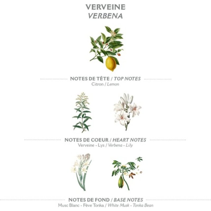 Panier des Sens Verbena Perfume for Women Floral Fragrance Long Lasting Natural Perfume Hair & Body Vegan Friendly Eau