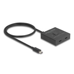DELOCK USB 10 Gbps USB Type-C Switch 2 auf 1 bidirektional 8K