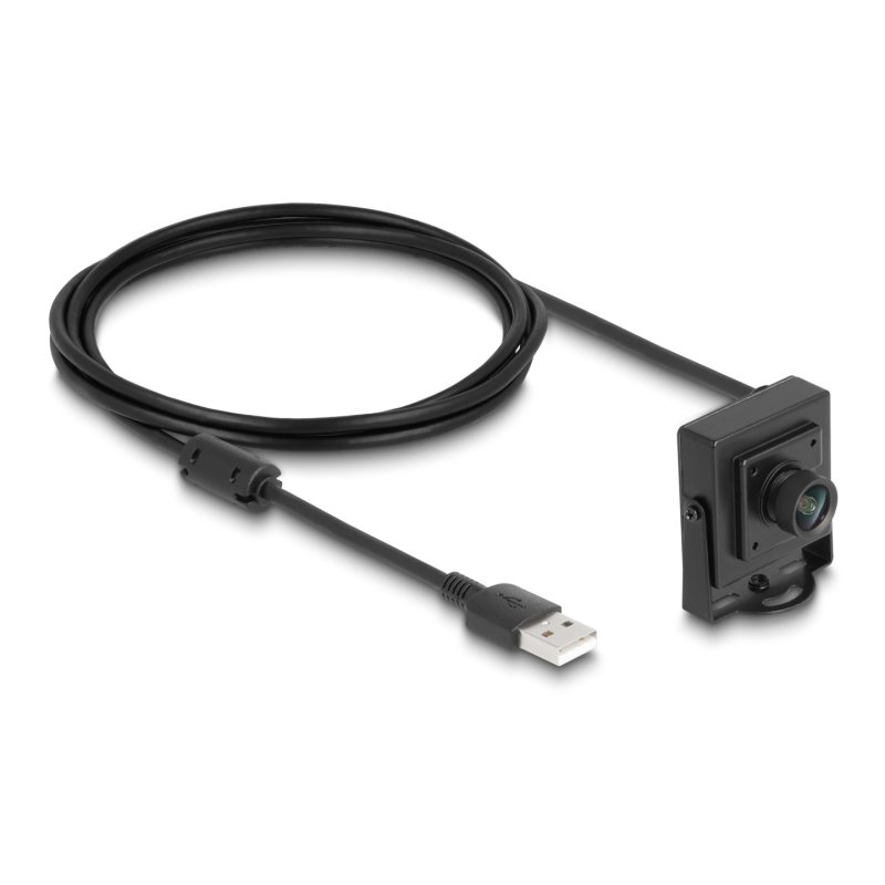 DeLOCK USB 2.0 Caméra 2,1 mégapixel 100° objectif fixe
