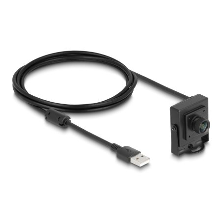 DELOCK USB 2.0 Kamera 2.1 Megapixel 100° Fixfokus