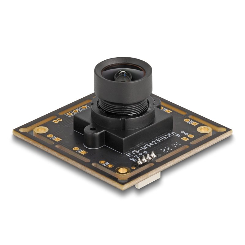 DeLOCK Module de caméra USB 2.0 avec HDR, 2,1 mégapixel, 94°, focus fixe V6
