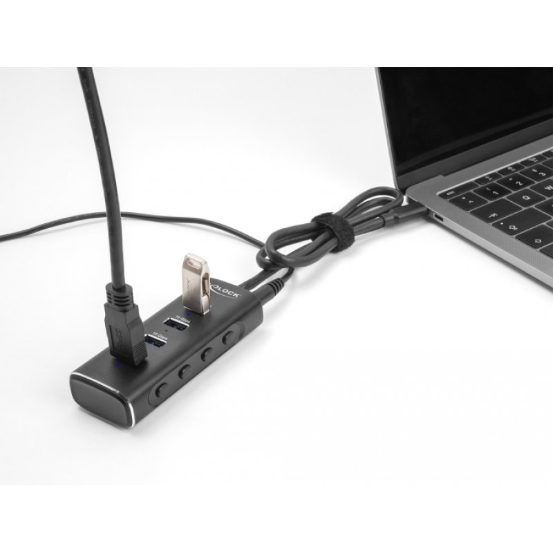 DeLOCK 4 Port USB 10 Gbps Hub with USB Type-C connector 60 cm Cable and Switch for each port