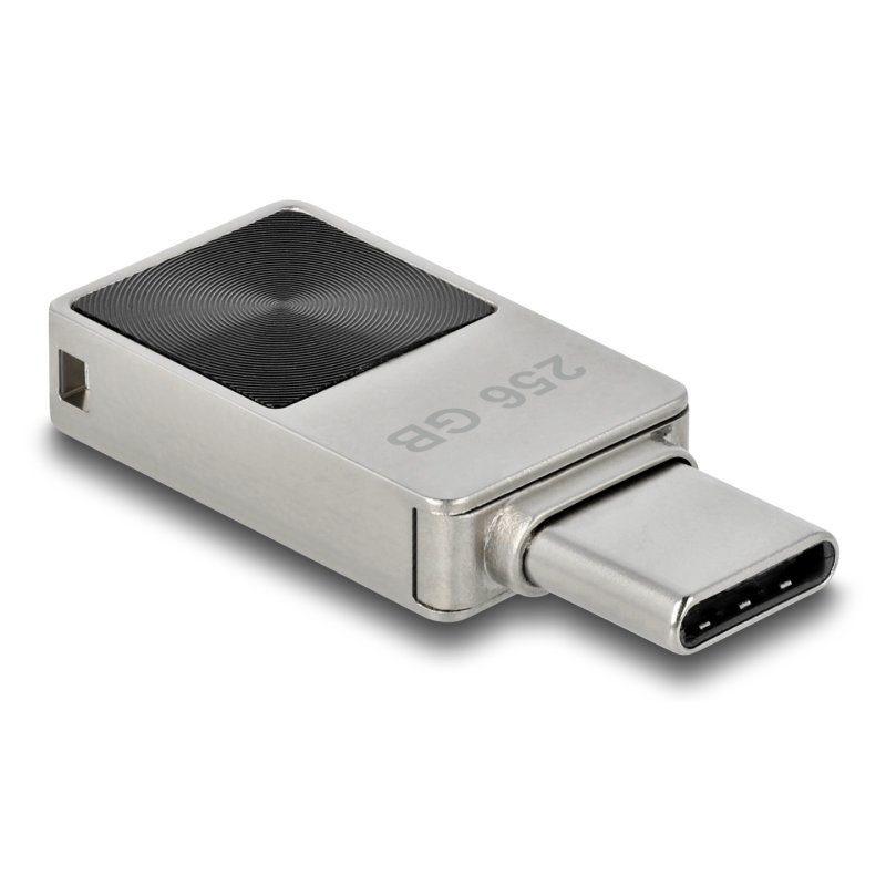 DeLOCK Mini Clé USB 5 Gbps USB-C256 GB - Boitier métallique