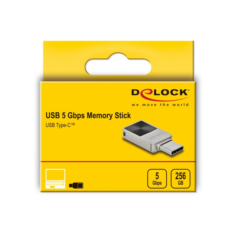 DeLOCK Mini Clé USB 5 Gbps USB-C256 GB - Boitier métallique