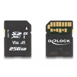 DeLOCK Carte de mémoire SD Express 256 Go