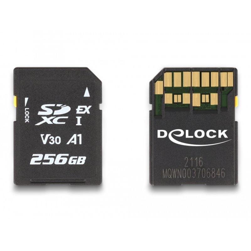 CARD DELOCK Express Speicherkarte 256 GB