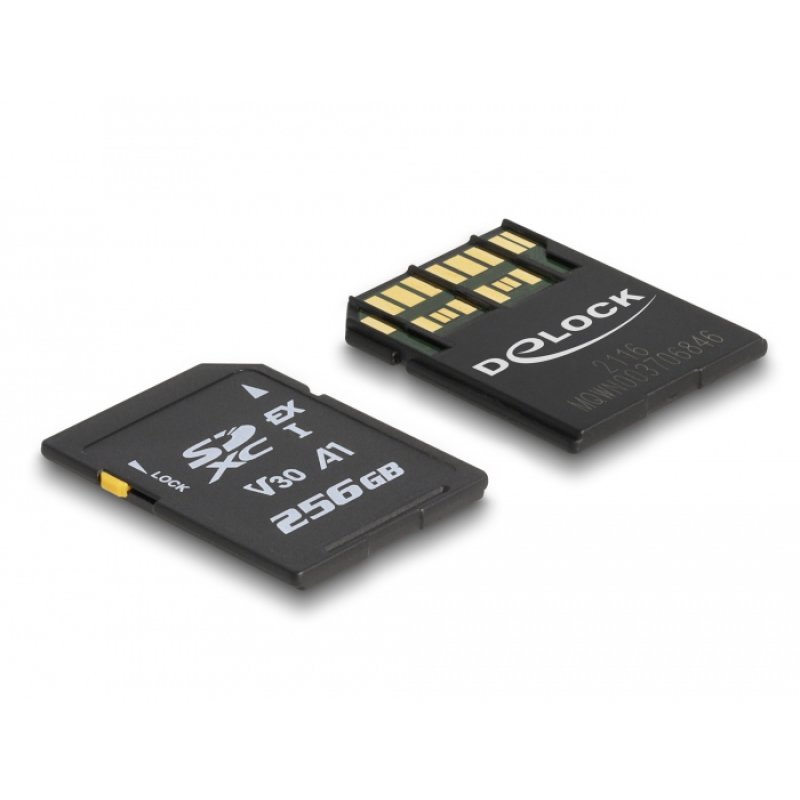 DeLOCK SD Express memory card 256 GB