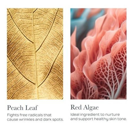 SOTHYS La Crème Premium Youth Cream Anti-Aging Moisturizer Face Treatment for Fine Lines and Wrinkles 1.7 oz