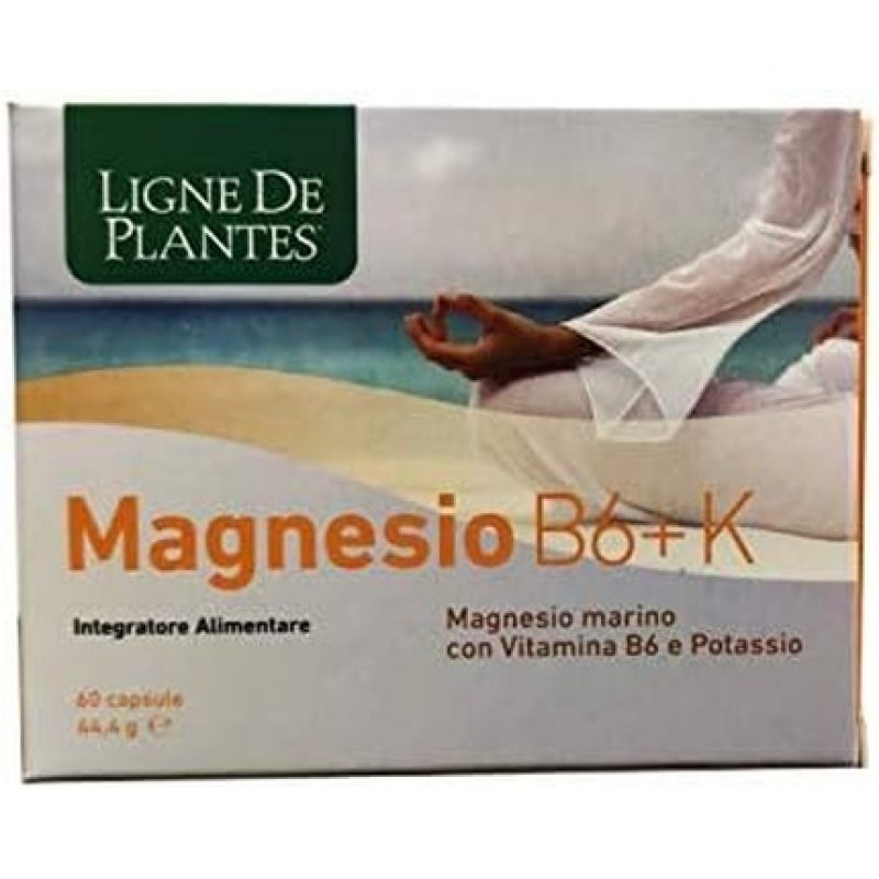 Natura Service Magnesium B6 K 60 Capsules