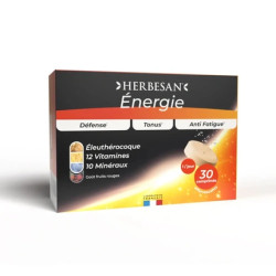 Herbesan Herbesan Energy 30 Tablets