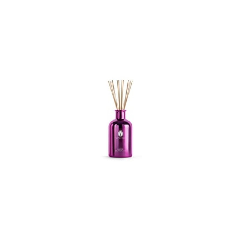 Collest Collesi Purple Wicker Room Diffuser With 500ml Essence And Sticks